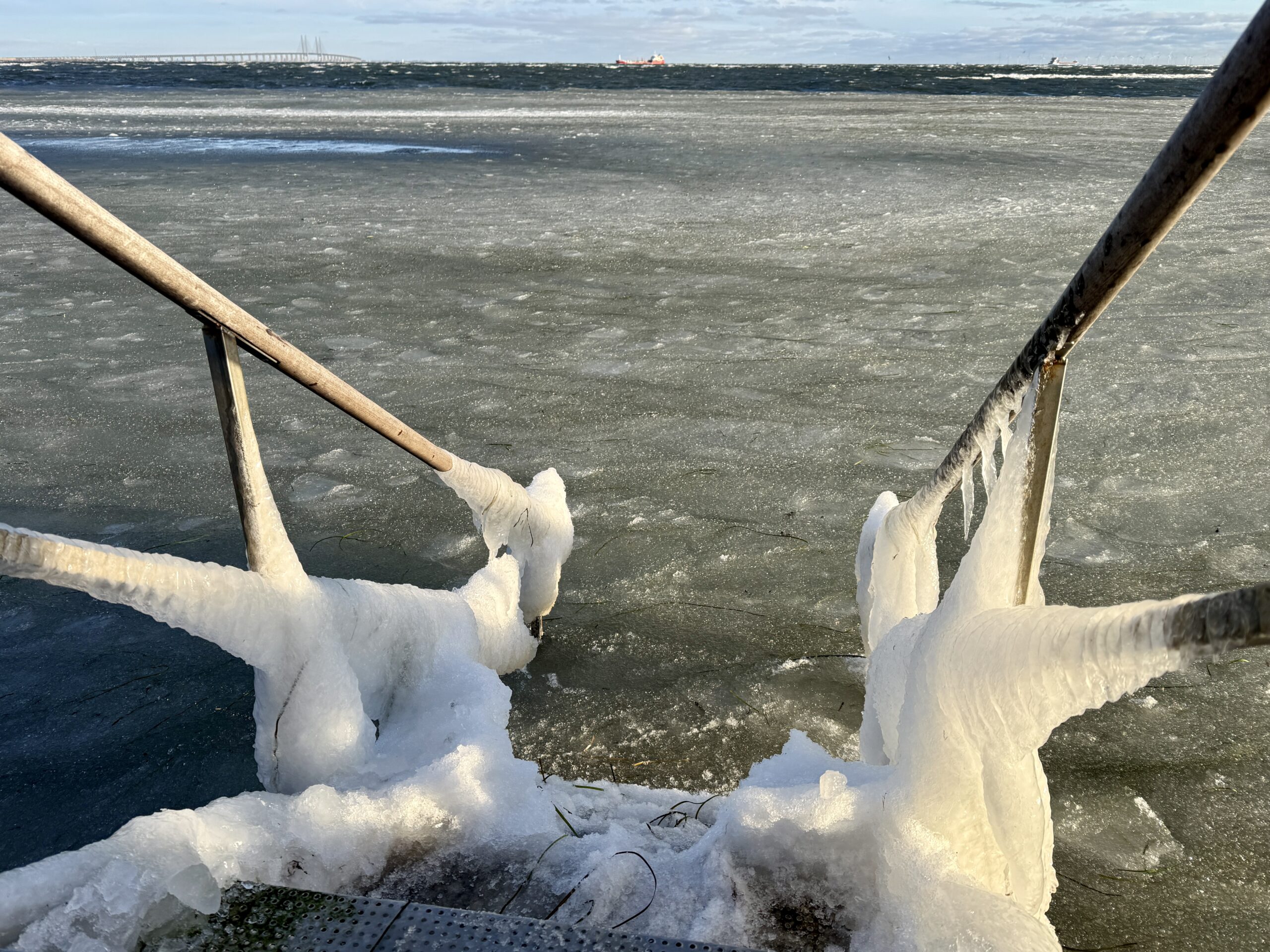Glarmesteren – Damesiden
